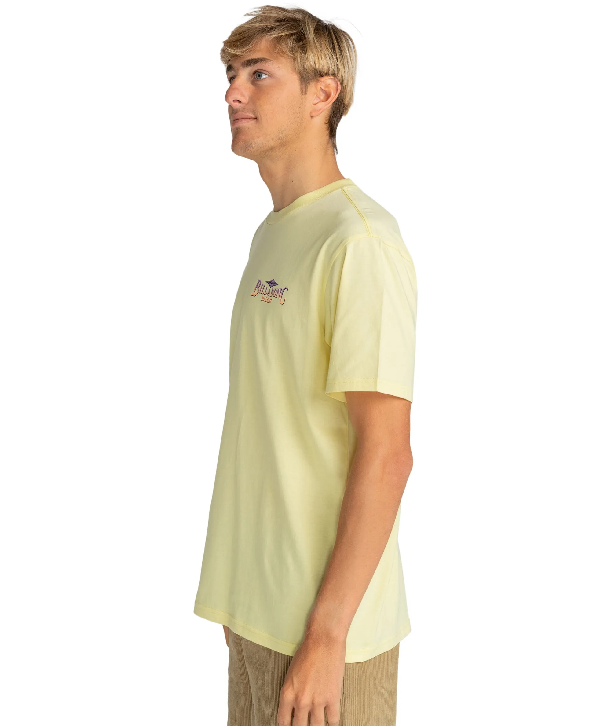 Billabong Mens Dreamy Place Short Sleeve T-Shirt